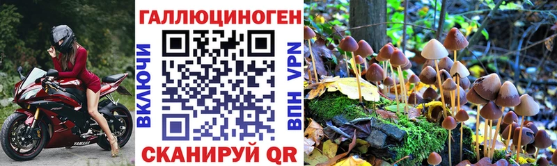 hydra tor  Курган  Галлюциногенные грибы мицелий  где продают  